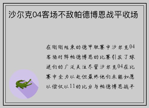 沙尔克04客场不敌帕德博恩战平收场