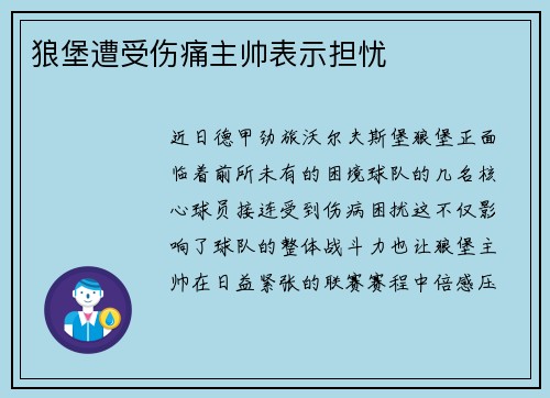 狼堡遭受伤痛主帅表示担忧